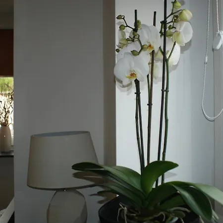 Spillo Bed & Breakfast Warsaw